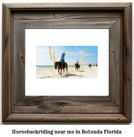 horseback riding near me in Rotonda, Florida